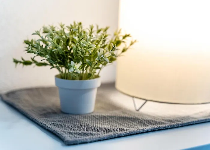 Appartement Haigerach